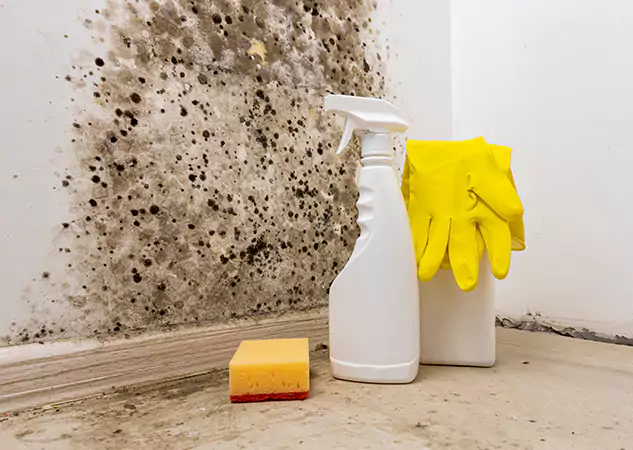Your Reliable Restoration Company in Sunny Side, GA