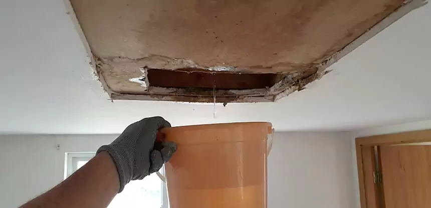Ceiling Mold Repair Sunny Side
