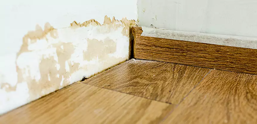 Professional Fix Water Damaged Wood Services in Sunny Side, GA
