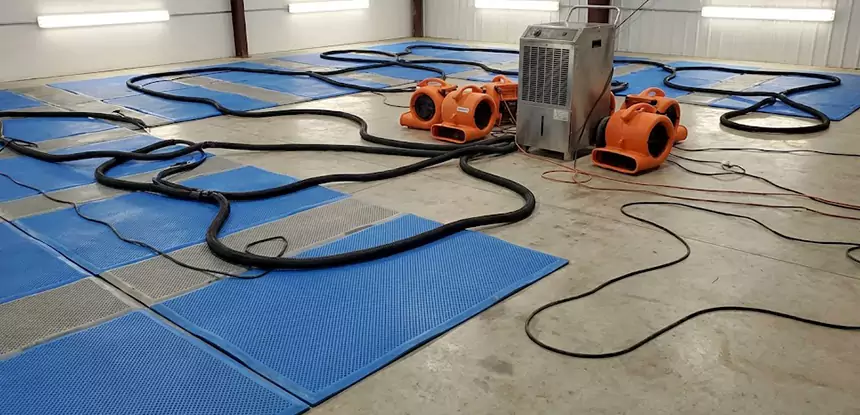 Professional Flooded Carpet Drying Services in Sunny Side, GA